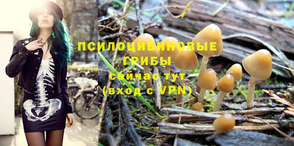 тгк Иннополис