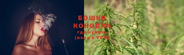 первитин Инсар