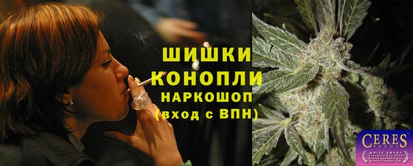 тгк Иннополис